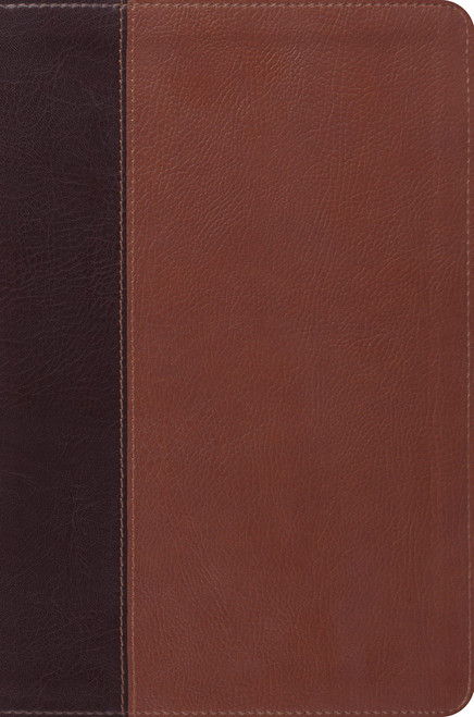 Holy Bible – Brown