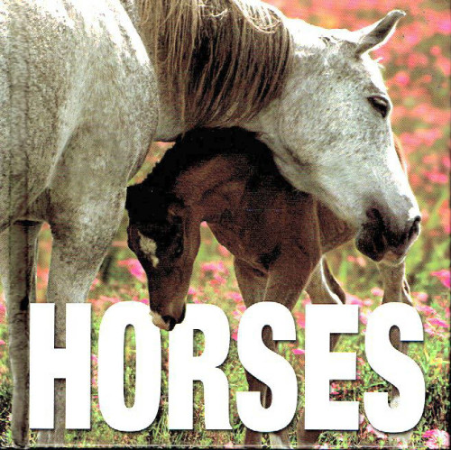 Horses by Gabriele Boiselle (2005)