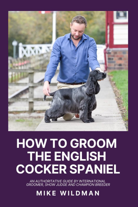 How To Groom The English Cocker Spaniel