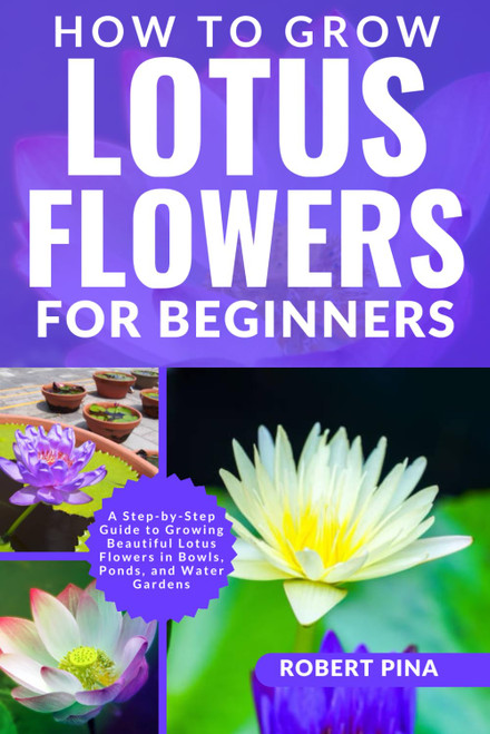 How To Grow Lotus Flowers For Beginners