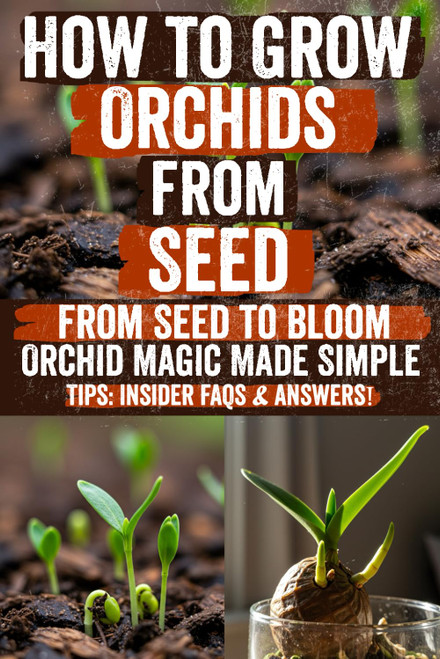 How to Grow Orchids from Seed: Discover the Secret Techniques to Easily