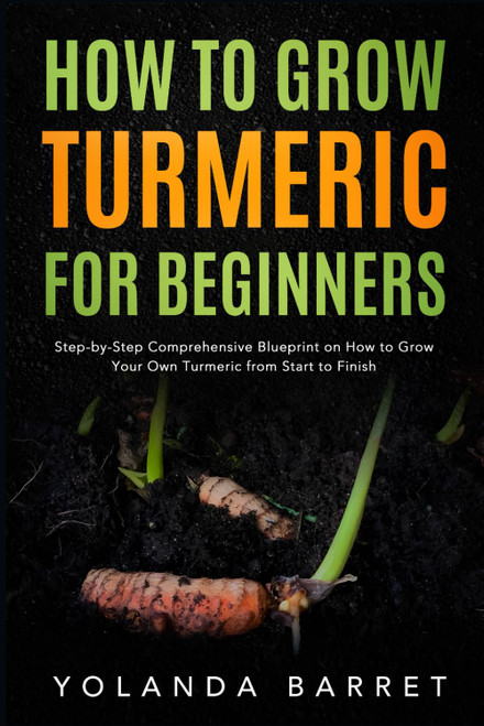 How to Grow Turmeric for Beginners