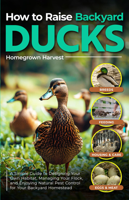 How to Raise Backyard Ducks: A Simple Guide to Designing Your Own Habitat