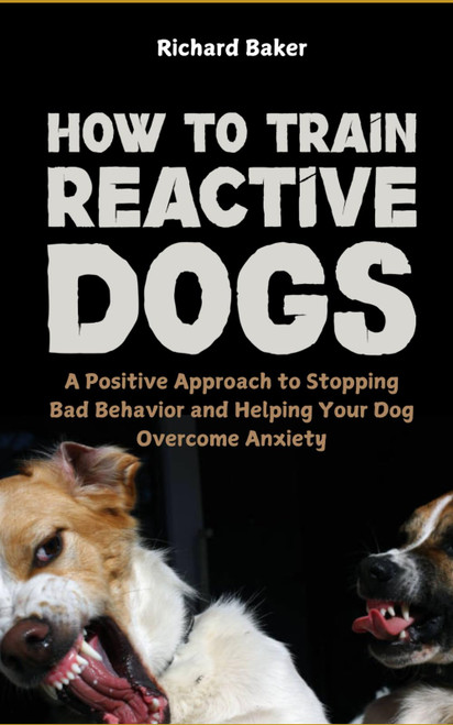 How to Train Reactive Dogs: A Positive Approach to Stopping Bad Behavior