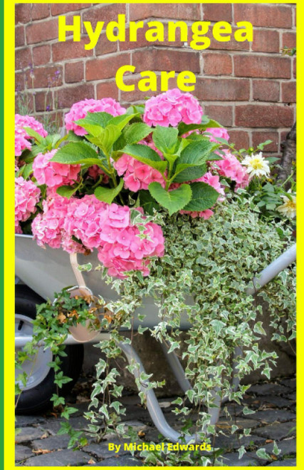 Hydrangea Care: How To Care For Hydrangeas For Beginners - Easy Home