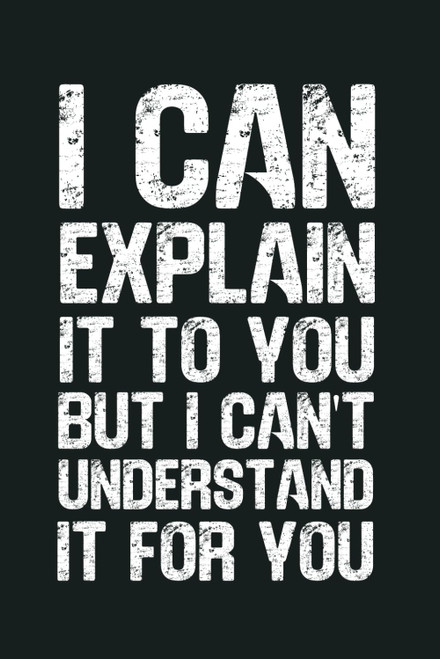 I Can Explain It To You But I Can't Understand It For You