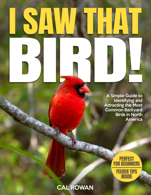 I Saw That Bird!: A Simple Guide to Identifying and Attracting the Most
