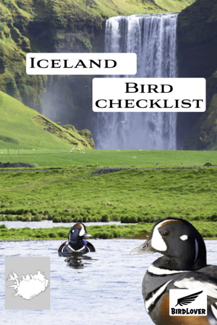 Iceland Bird Checklist - BirdLover