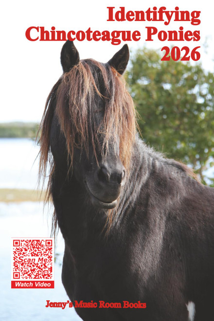 Identifying Chincoteague Ponies 2026