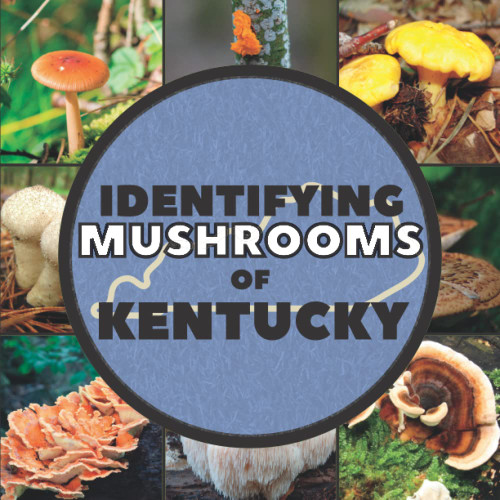 Identifying Mushrooms of Kentucky