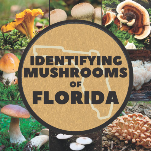 Identifying Mushrooms of Florida: A Simple Identification Guide Book