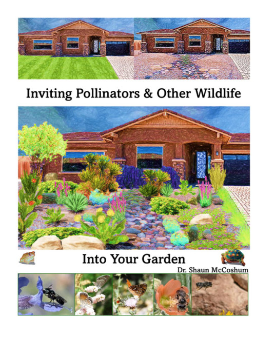 Inviting Pollinators and Other Wildlife Into Your Garden