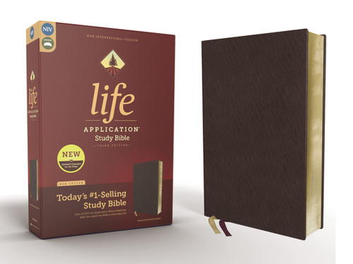 Life Application Study Bible, Third Edition – Bonded Leather, Burgundy,