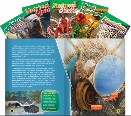 Life Science Grade 4: 5-Book Set