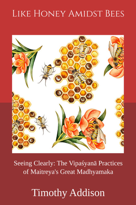 Like Honey Amidst Bees: Seeing Clearly: The Vipaśyanā Practices of Maitreya's Great Madhyamaka