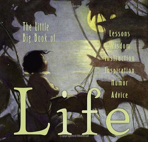 Little Big Book Of Life