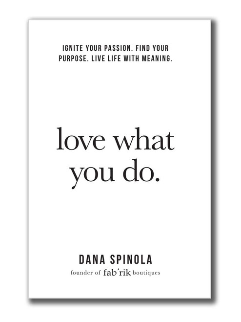 Love What You Do: A plan for creating a life you love filled with passion