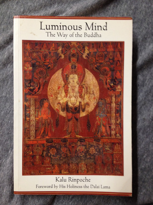 Luminous Mind: The Way of the Buddha