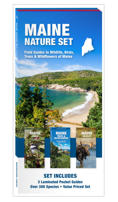 Maine Nature Set: Field Guides to Wildlife