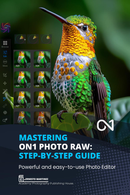 Mastering On1 Photo RAW: Step-by-Step Guide: Powerful and easy-to-use