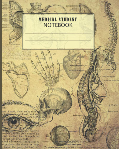Medical Student Notebook: Large Desk Size Antique Human Anatomy Vintage