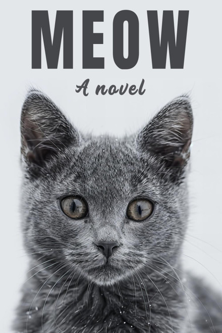 Meow: A Novel for Your Cat