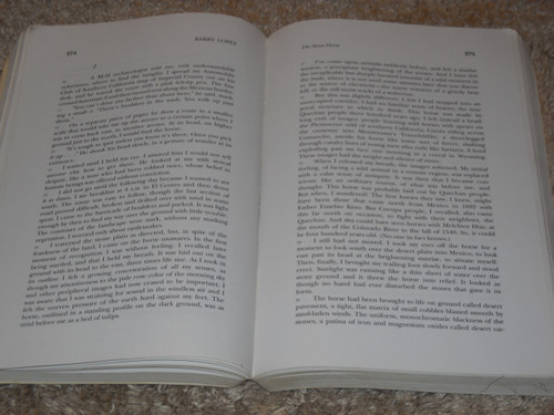 Modern American Prose: Fifteen Writers + 15