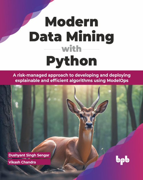 Modern Data Mining with Python: A risk-managed approach to developing and