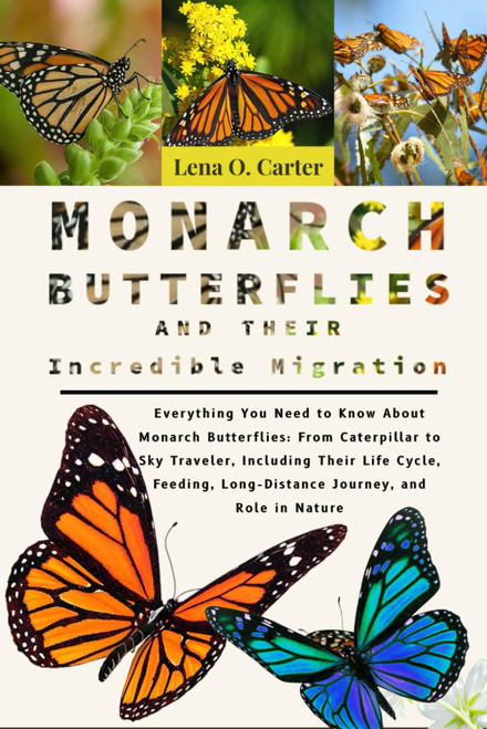 Monarch Butterflies And Their Incredible Migration