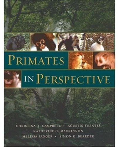 Primates In Perspective