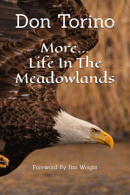 More Life In The Meadowlands: Exploring Birds