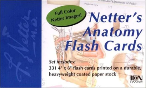 Netter's Anatomy Flash Cards