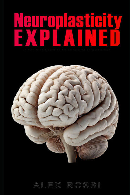 Neuroplasticity Explained