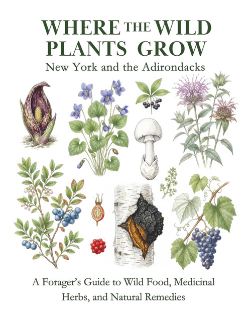 New York and the Adirondacks: A Forager's Guide to Wild Food