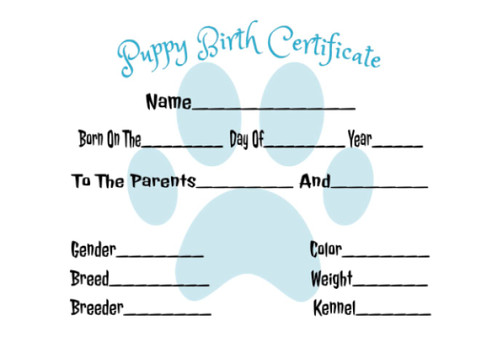 Newborn Puppy Birth Certificate | Dog Breeder Paperwork | Litter or