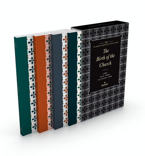 NLT Filament Journaling Collection Bible