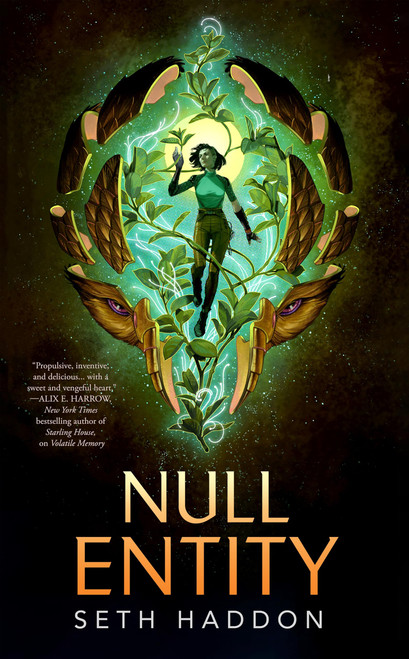 Null Entity