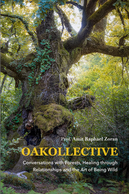 OAKOLLECTIVE: Conversations with Forests