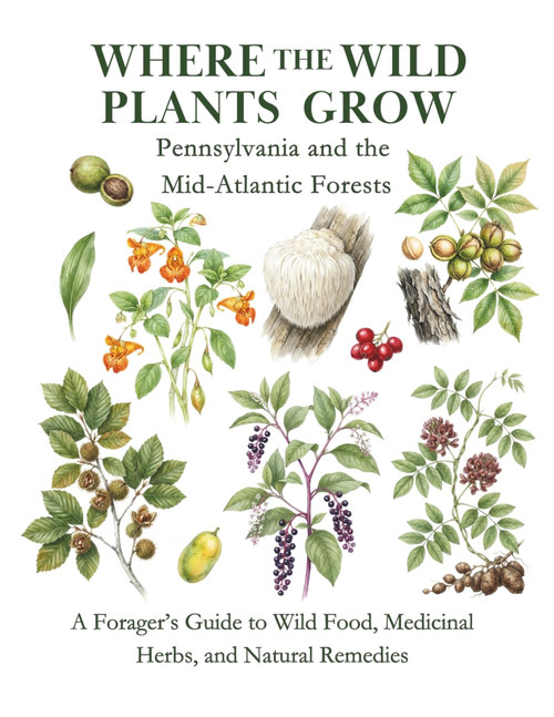 Pennsylvania and the Mid-Atlantic Forests