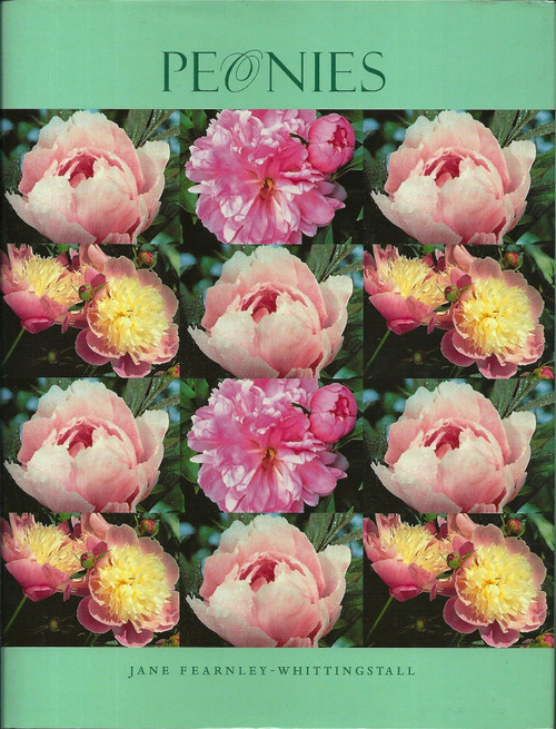 Peonies