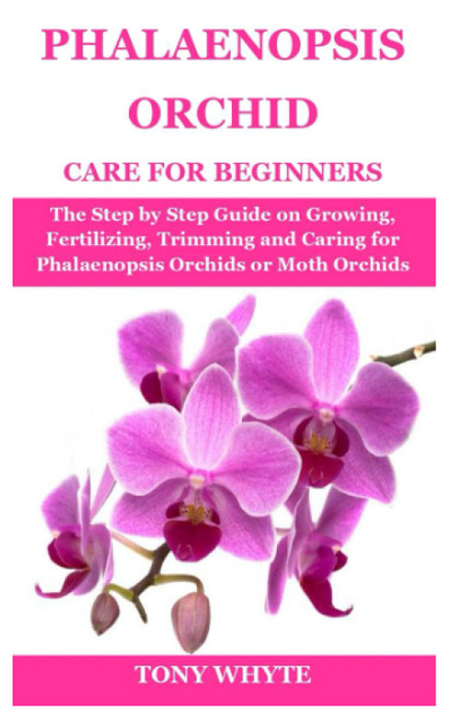 PHALAENOPSIS ORCHID CARE FOR BEGINNERS