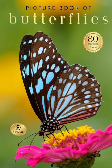 Picture Book of Butterflies: Premium Gift Edition/ Keepsake for Seniors