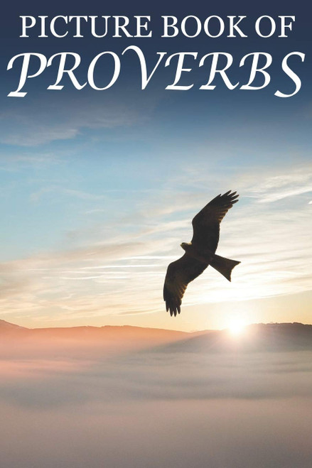 Picture Book of Proverbs: For Seniors with Dementia [Large Print Bible