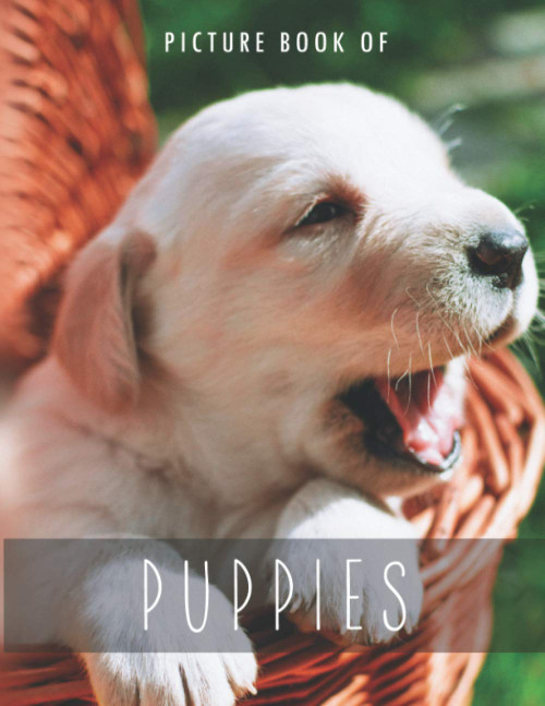 Picture Book of Puppies: for Alzheimer's Patients and Seniors with