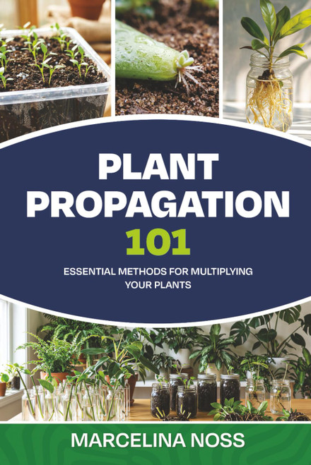 PLANT PROPAGATION 101: The Ultimate Guide to Propagating Houseplants