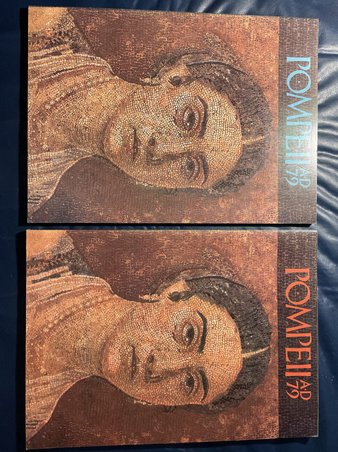 Pompeii A.D. 79: Treasures from the National Archaeological Museum