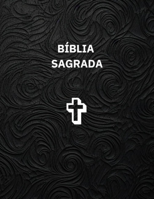 Portuguese Holy Bible New Testament Novo Testamento da Bíblia Sagrada em Português: Brazilian