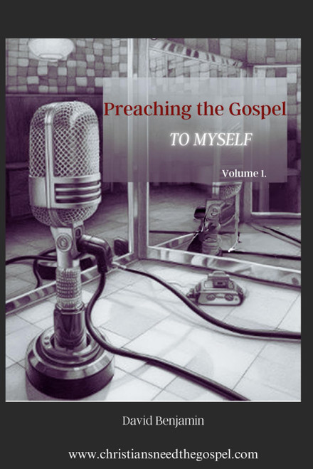 Preaching the Gospel To Myself: Daily Devotional-Vol 1