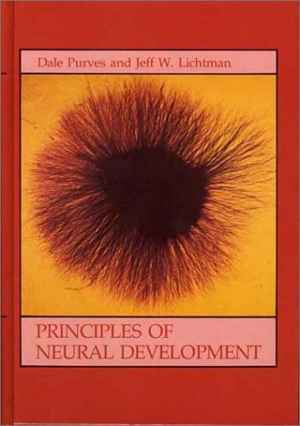 Principles of Neural Development
