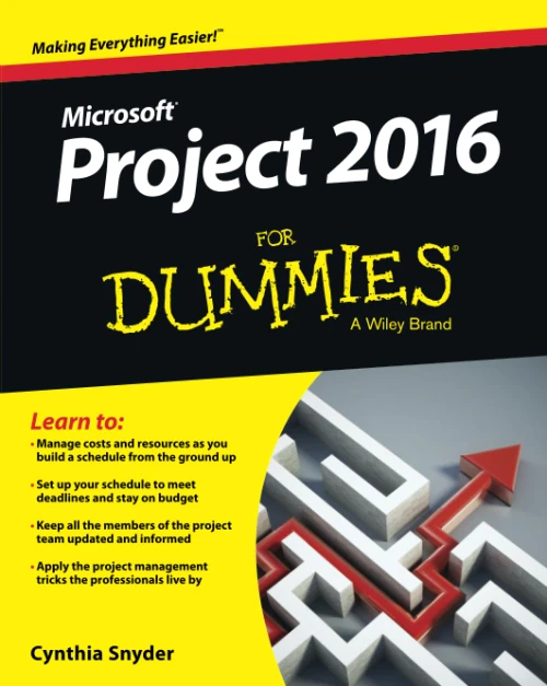 Project 2016 For Dummies